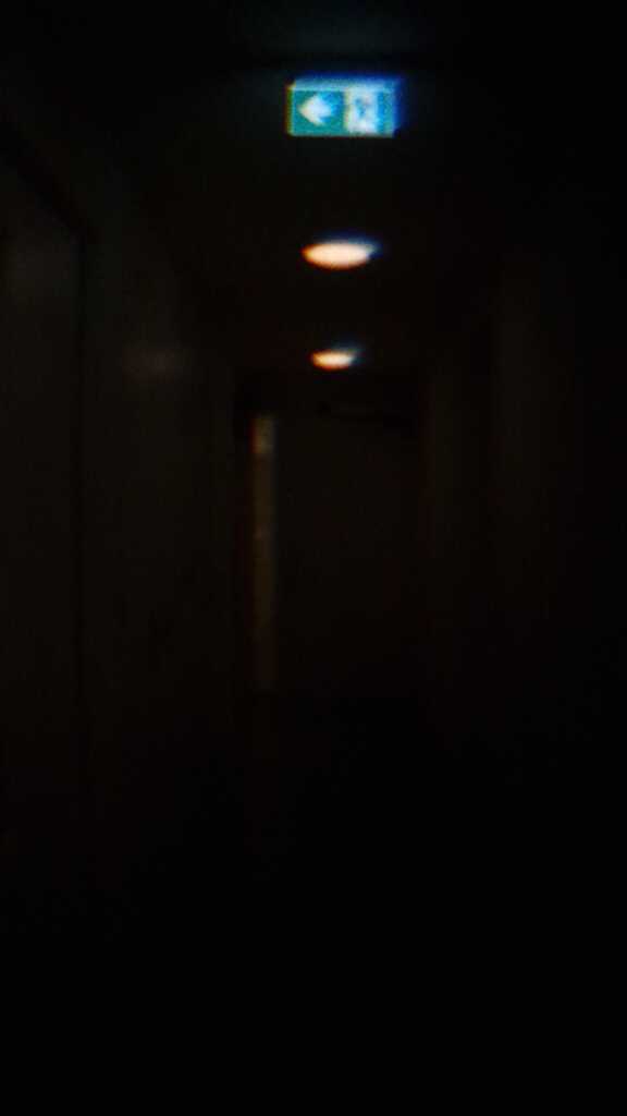 A fisheye picture of a dark and narrow hallway. The ceiling is populated with a glowing green exit sign and two dim lights.